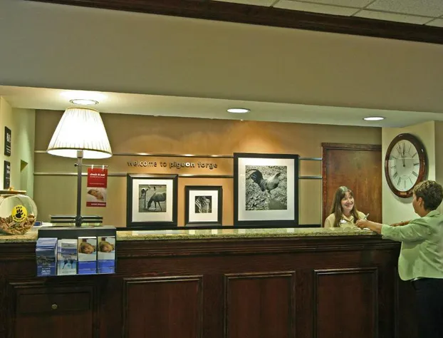 Hampton Inn & Suites Pigeon Forge On The Parkway hotel detail image 2