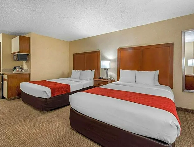 Comfort Inn Denver Southeast Area hotel detail image 1