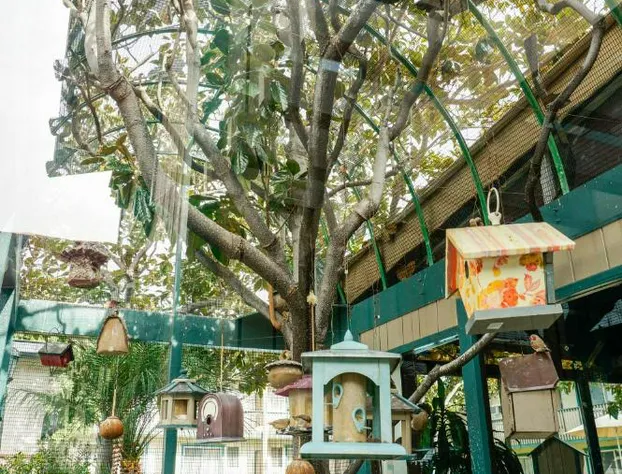 Best Western Plus Santa Barbara hotel detail image 3