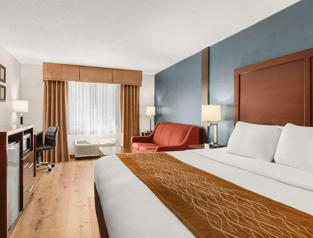 Comfort Inn & Suites Vancouver Downtown City Center hotel detail image 4