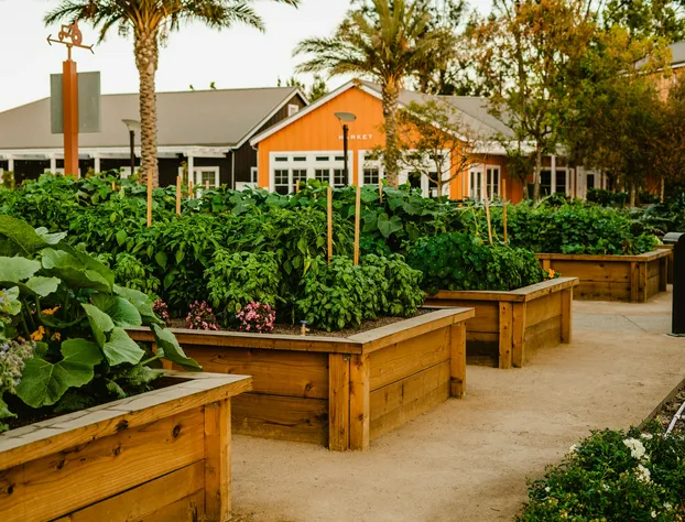 Carneros Resort and Spa hotel detail image 3