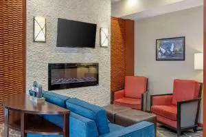 Comfort Suites West Indianapolis - Brownsburg hotel detail image 3