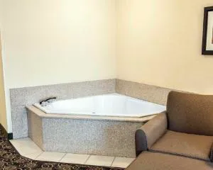 Comfort Suites West Indianapolis - Brownsburg hotel detail image 4