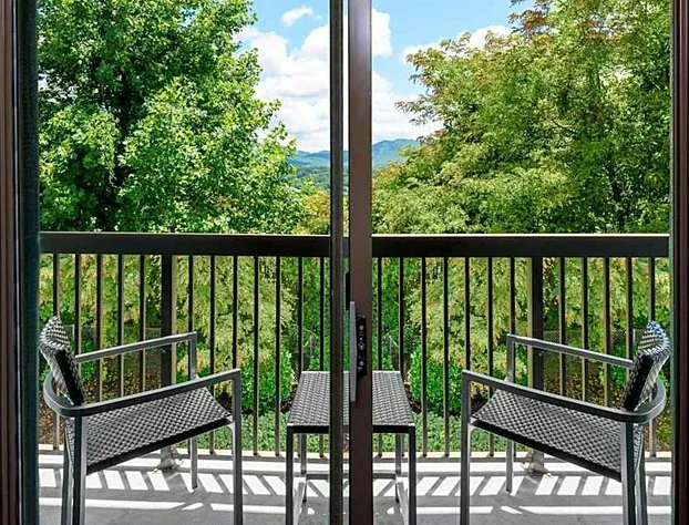 Courtyard by Marriott Asheville hotel detail image 3