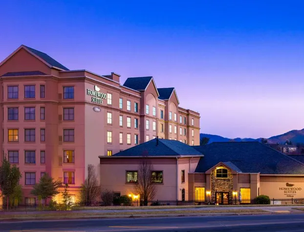 Homewood Suites by Hilton - Asheville hotel detail image 1