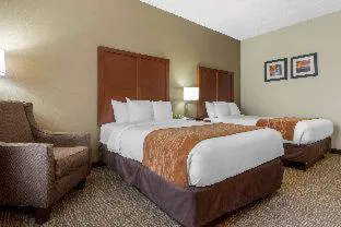 Comfort Inn Asheville Airport hotel detail image 4