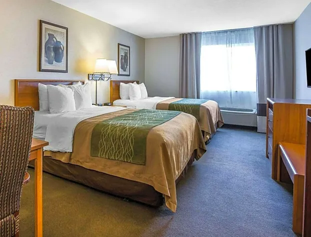 Quality Inn hotel detail image 4