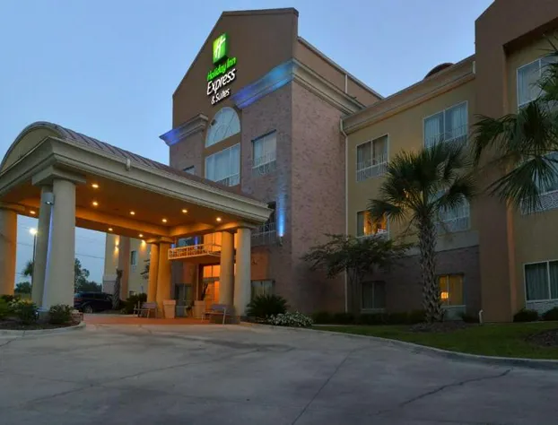 Holiday Inn Express Hotel & Suites Baton Rouge North by IHG hotel detail image 1