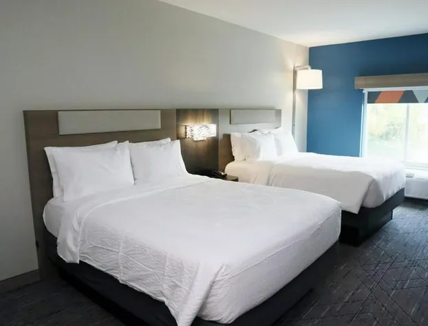 Holiday Inn Express Hotel & Suites Baton Rouge North by IHG hotel detail image 4