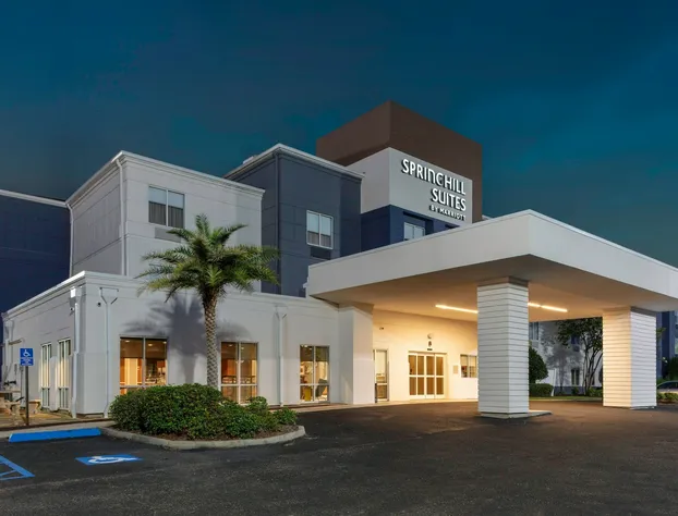 Springhill Suites By Marriott Baton Rouge South hotel detail image 1