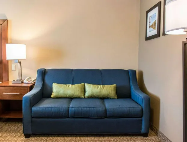 Comfort Inn Columbia Lancaster hotel detail image 2