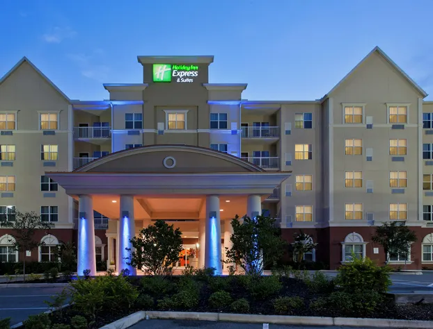 Holiday Inn Express & Suites Lakeland North - I-4 by IHG hotel detail image 3