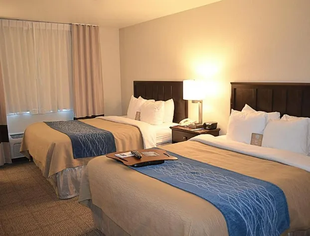 Comfort Inn Fairfield Napa Valley Area hotel detail image 3