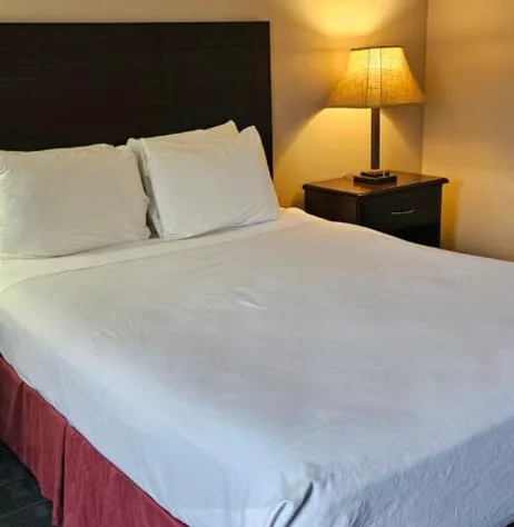 Bellis Inn hotel detail image 4