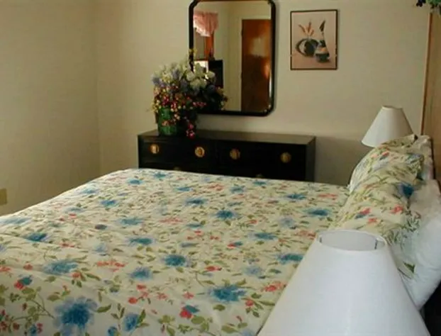 Jenny's Country Manor hotel detail image 3