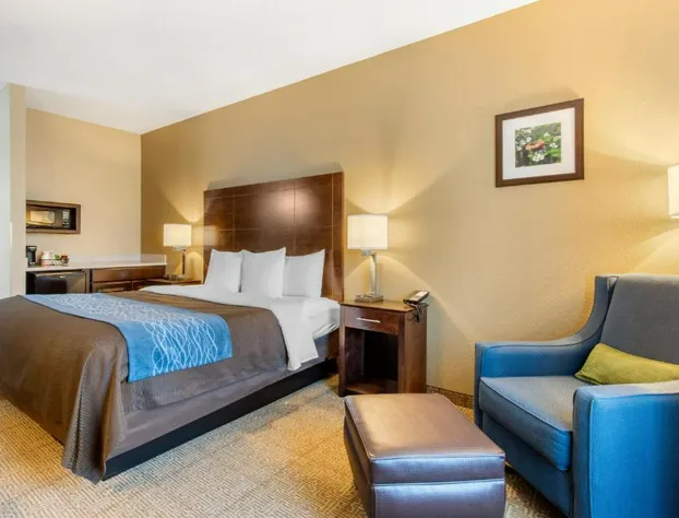 Comfort Inn & Suites Bryant - Benton hotel detail image 4