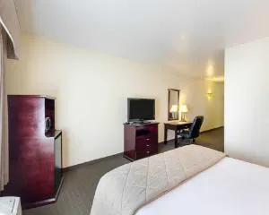 Quality Inn & Suites Kerrville hotel detail image 4