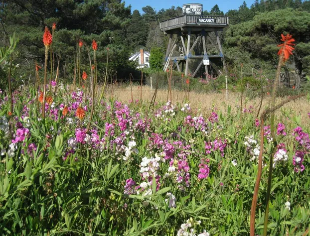 Brewery Gulch Inn hotel detail image 4