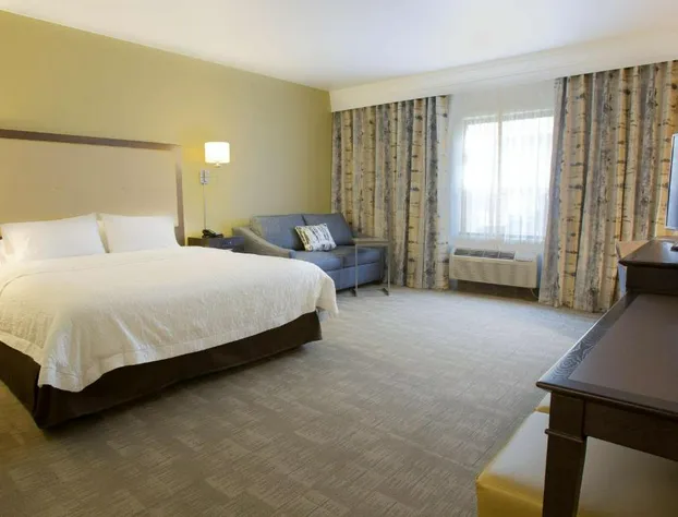 Hampton Inn & Suites Boise/Nampa at the Idaho Center hotel detail image 4