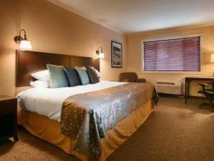 Best Western Wesley Inn & Suites hotel detail image 3