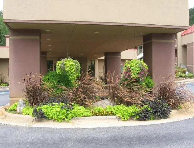 Chestnut Tree Inn hotel detail image 3