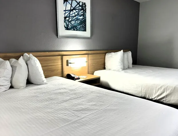 Microtel Inn & Suites by Wyndham Tuscaloosa East hotel detail image 3