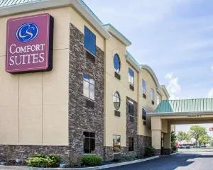 Comfort Suites Perrysburg - Toledo South hotel hero