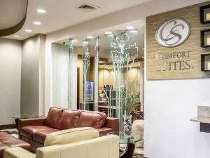 Comfort Suites Perrysburg - Toledo South hotel detail image 3