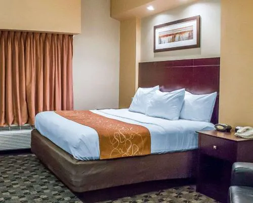 Comfort Suites Perrysburg - Toledo South hotel detail image 4