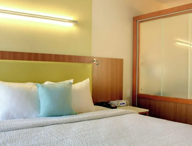 SpringHill Suites by Marriott Scranton Montage Mountain hotel detail image 4