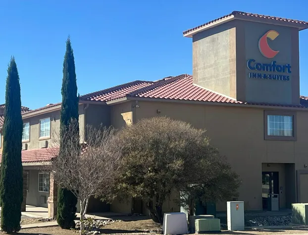 Comfort Inn & Suites Las Cruces Mesilla hotel detail image 2