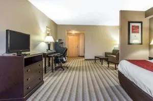 Comfort Suites Smyrna - Nashville Area hotel detail image 2