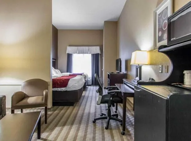 Comfort Suites Smyrna - Nashville Area hotel detail image 3