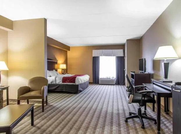 Comfort Suites Smyrna - Nashville Area hotel detail image 4