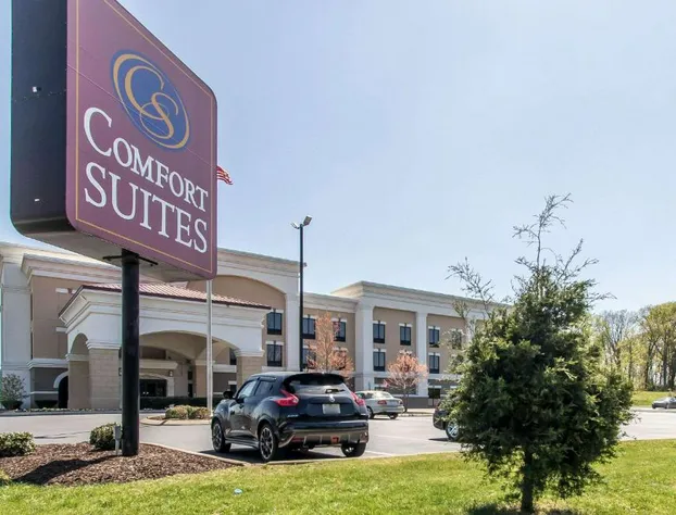 Comfort Suites Smyrna - Nashville Area hotel detail image 4