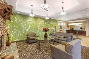 Sleep Inn & Suites hotel detail image 1