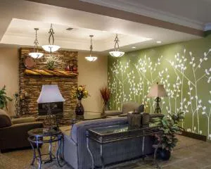 Sleep Inn & Suites hotel detail image 2