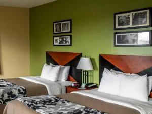 Sleep Inn & Suites hotel detail image 3