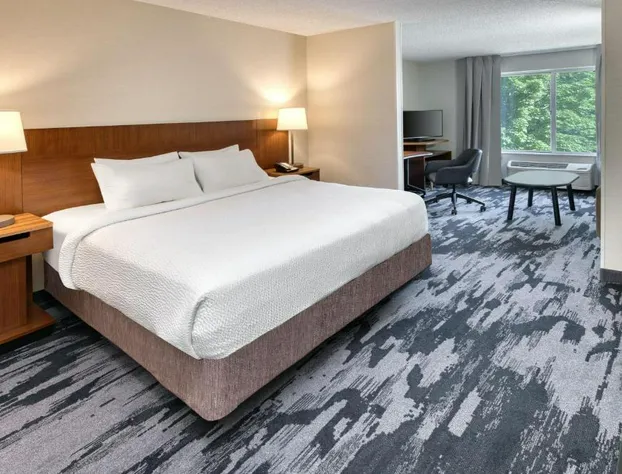 Fairfield Inn and Suites by Marriott Frankenmuth hotel detail image 2