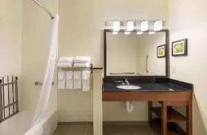 Comfort Suites Saginaw North hotel detail image 2