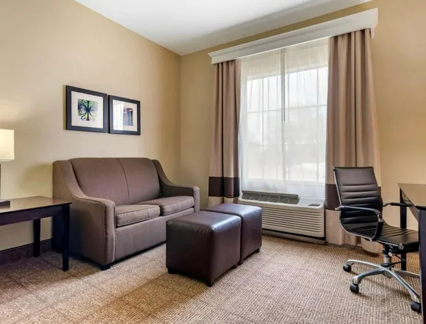 Comfort Inn & Suites Scott-West Lafayette hotel detail image 3