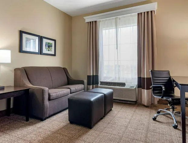 Comfort Inn & Suites Scott-West Lafayette hotel detail image 4