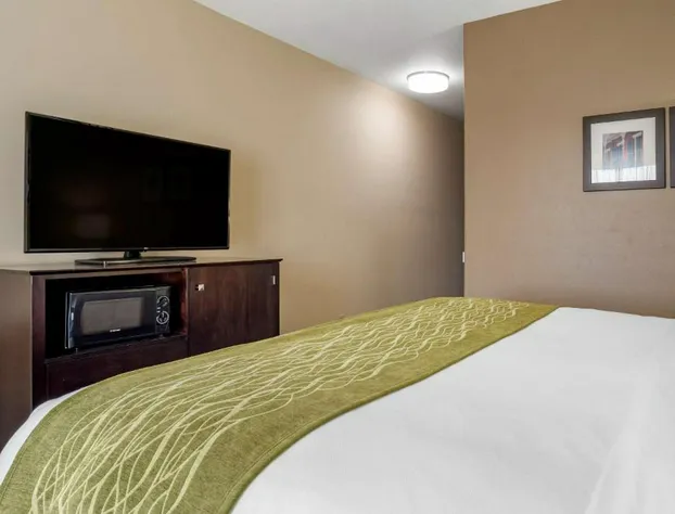 Comfort Inn & Suites Scott-West Lafayette hotel detail image 2