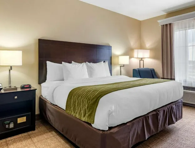 Comfort Inn & Suites Scott-West Lafayette hotel detail image 3