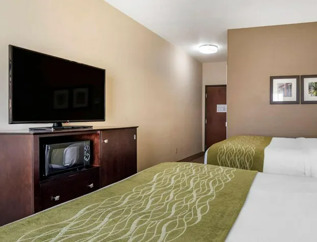 Comfort Inn & Suites Scott-West Lafayette hotel detail image 4
