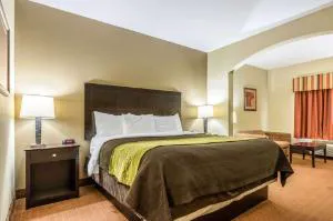 Comfort Inn & Suites Scott-West Lafayette hotel detail image 2