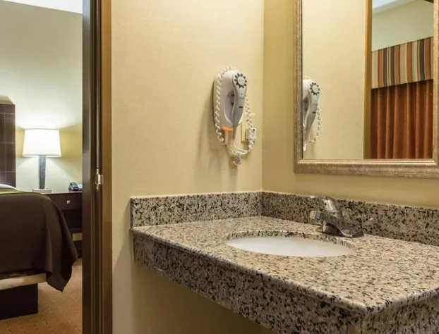 Comfort Inn & Suites Scott-West Lafayette hotel detail image 3