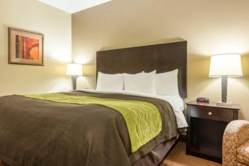 Comfort Inn & Suites Scott-West Lafayette hotel detail image 4