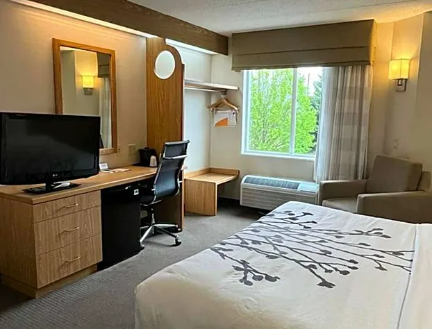 Sleep Inn Lynchburg hotel detail image 3