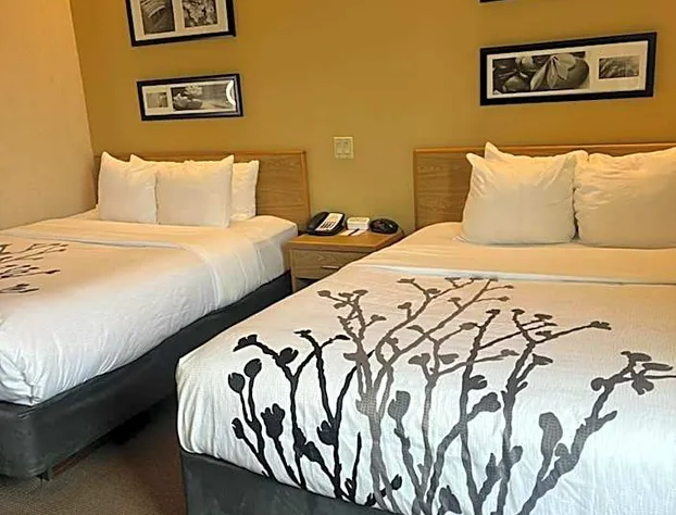 Sleep Inn Lynchburg hotel detail image 4